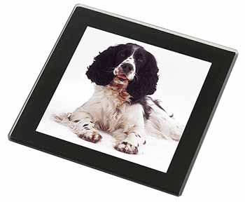 Black and White Springer Spaniel Black Rim High Quality Glass Coaster