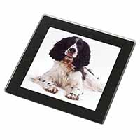 Black and White Springer Spaniel Black Rim High Quality Glass Coaster