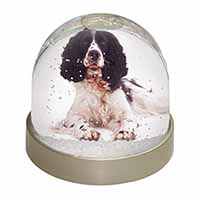 Black and White Springer Spaniel Snow Globe Photo Waterball