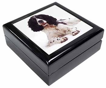 Black and White Springer Spaniel Keepsake/Jewellery Box