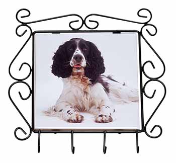 Black and White Springer Spaniel Wrought Iron Key Holder Hooks