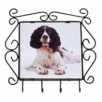 Black and White Springer Spaniel Wrought Iron Key Holder Hooks