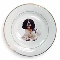 Black and White Springer Spaniel Gold Rim Plate Printed Full Colour in Gift Box