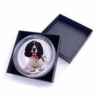 Black and White Springer Spaniel Glass Paperweight in Gift Box