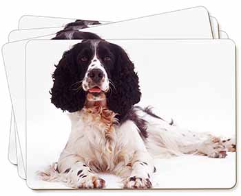 Black and White Springer Spaniel Picture Placemats in Gift Box