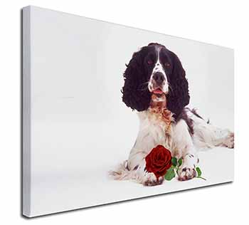 Springer Spaniel with Red Rose Canvas X-Large 30"x20" Wall Art Print