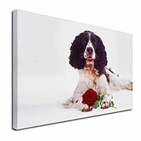 Springer Spaniel with Red Rose Canvas X-Large 30"x20" Wall Art Print