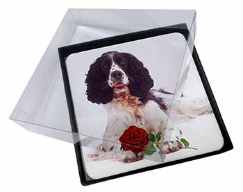 4x Springer Spaniel with Red Rose Picture Table Coasters Set in Gift Box