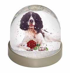Springer Spaniel with Red Rose Snow Globe Photo Waterball
