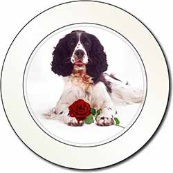 Springer Spaniel with Red Rose Car or Van Permit Holder/Tax Disc Holder