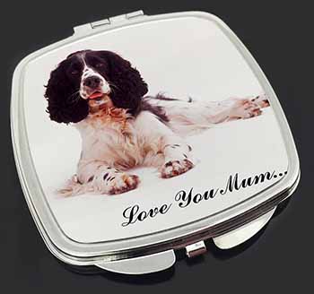 Springer Spaniel 