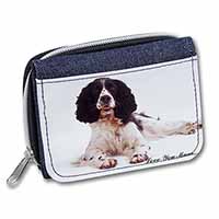 Springer Spaniel 