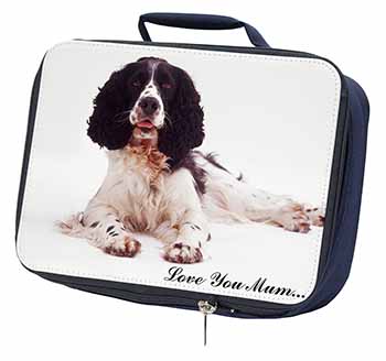 Springer Spaniel 