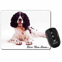 Springer Spaniel 