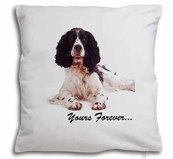 Springer Spaniel Dog 