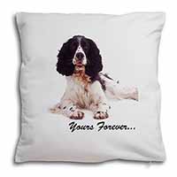 Springer Spaniel Dog 