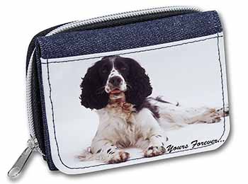 Springer Spaniel Dog 