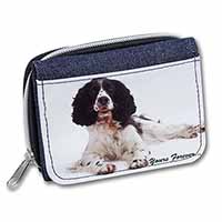 Springer Spaniel Dog 