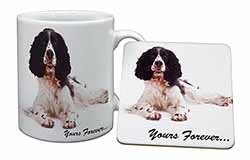 Springer Spaniel Dog 