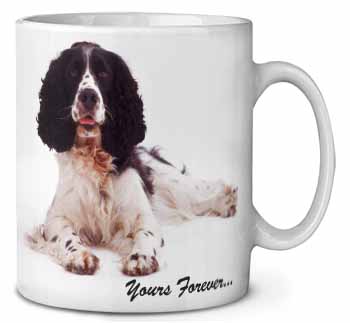 Springer Spaniel Dog 