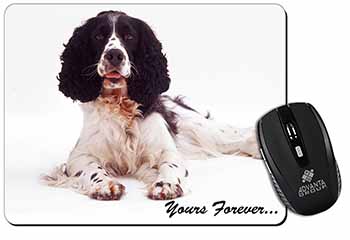 Springer Spaniel Dog 