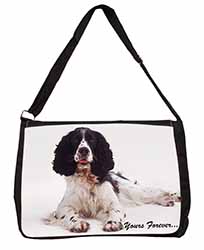 Springer Spaniel Dog 