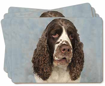 Springer Spaniel Dog Picture Placemats in Gift Box