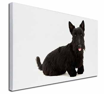 Scottish Terrier Canvas X-Large 30"x20" Wall Art Print