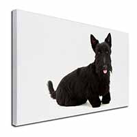 Scottish Terrier Canvas X-Large 30"x20" Wall Art Print