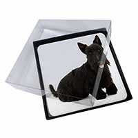 4x Scottish Terrier Picture Table Coasters Set in Gift Box