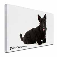 Scottie Dog 