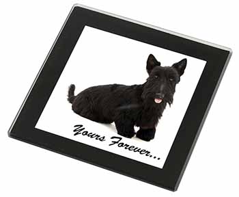 Scottie Dog 