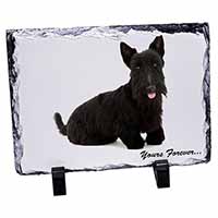 Scottie Dog 