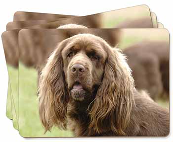 Sussex Spaniel Dog Picture Placemats in Gift Box