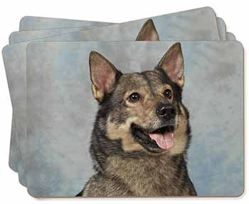Sweedish Vallhund Dog Picture Placemats in Gift Box
