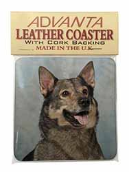Sweedish Vallhund Dog Single Leather Photo Coaster