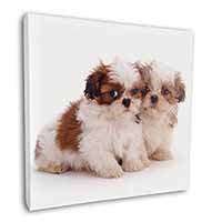 Shih-Tzu Dog Square Canvas 12"x12" Wall Art Picture Print