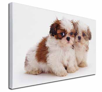 Shih-Tzu Dog Canvas X-Large 30"x20" Wall Art Print