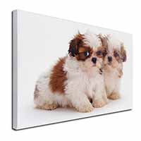 Shih-Tzu Dog Canvas X-Large 30"x20" Wall Art Print