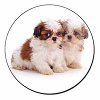 Shih-Tzu Dog Fridge Magnet Printed Full Colour