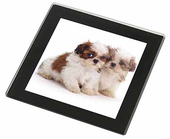 Shih-Tzu Dog Black Rim High Quality Glass Coaster