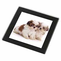 Shih-Tzu Dog Black Rim High Quality Glass Coaster