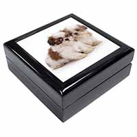 Shih-Tzu Dog Keepsake/Jewellery Box