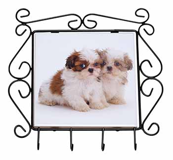 Shih-Tzu Dog Wrought Iron Key Holder Hooks