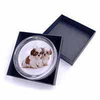 Shih-Tzu Dog Glass Paperweight in Gift Box