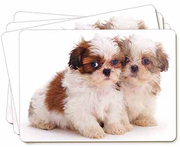 Shih-Tzu Dog Picture Placemats in Gift Box