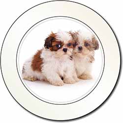 Shih-Tzu Dog Car or Van Permit Holder/Tax Disc Holder