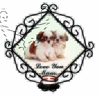 Shih-Tzu 