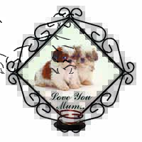 Shih-Tzu 