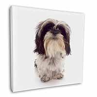 Shih-Tzu Dog Square Canvas 12"x12" Wall Art Picture Print